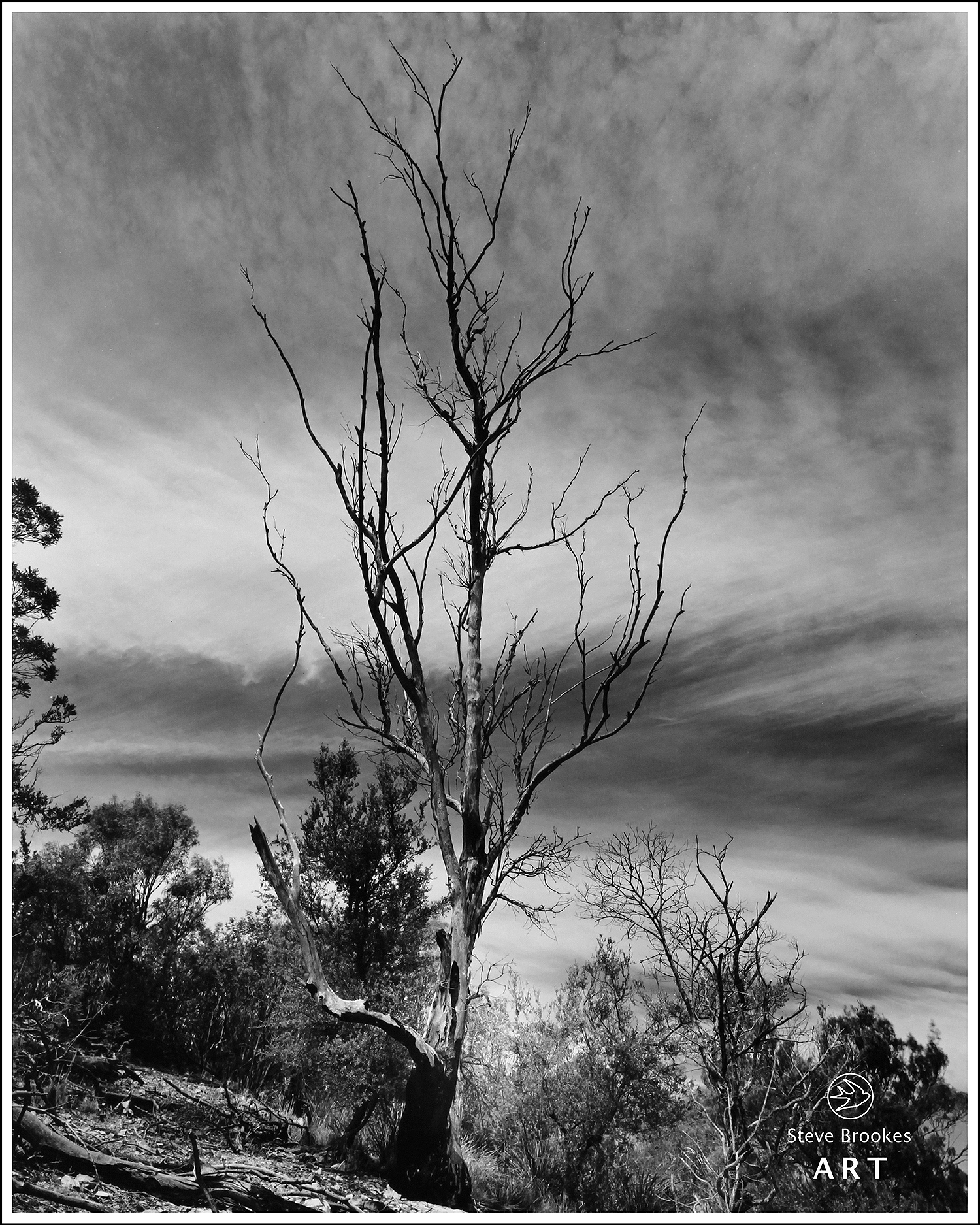 East Risdon, Tasmania. (DTT #2)