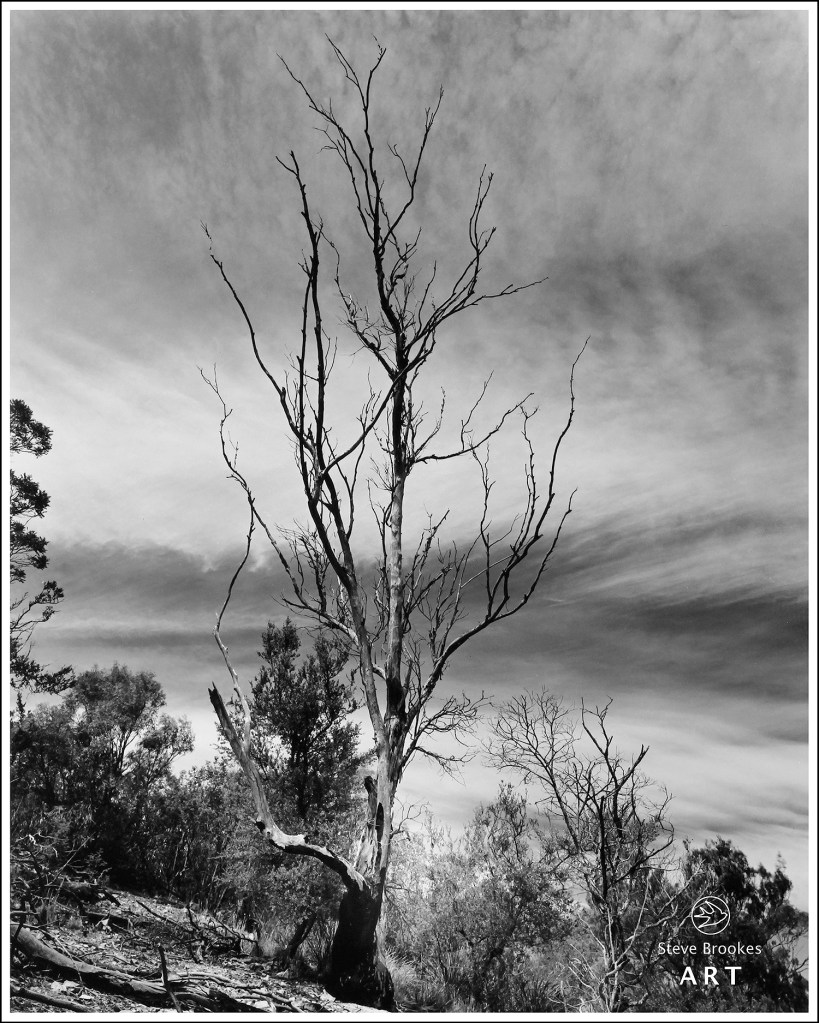 East Risdon, Tasmania. (DTT #2)
