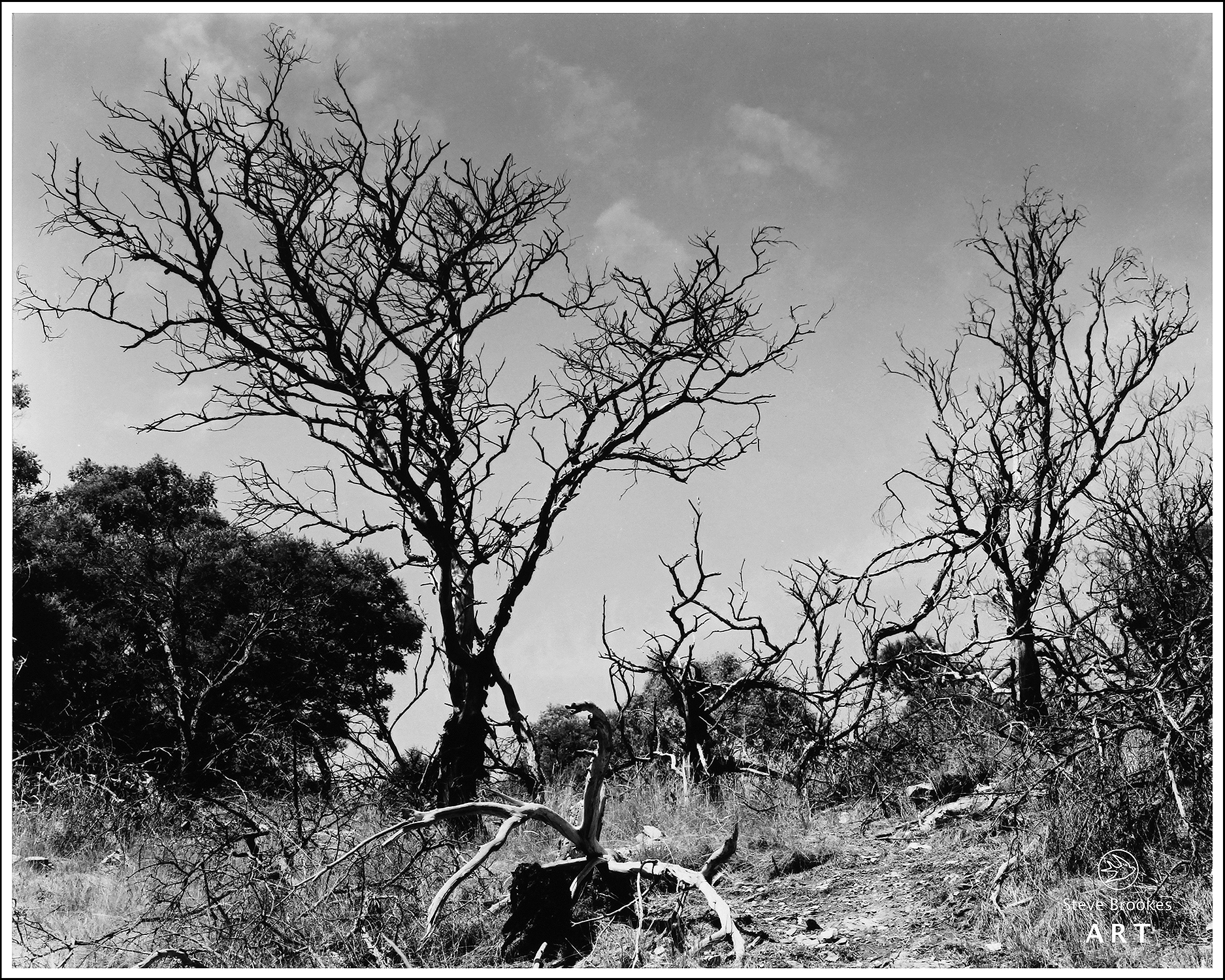 East Risdon, Tasmania. (DTT #3)