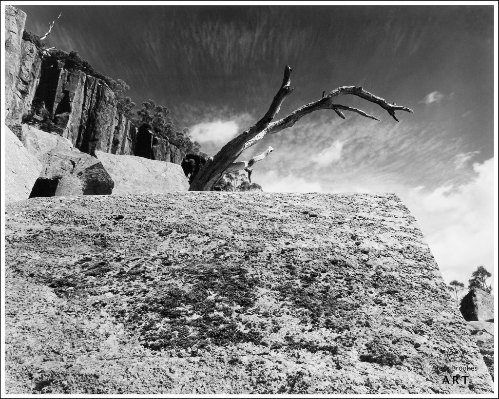 Lost World, Mt Wellington (kunanyi), Tasmania. (DTT #7)