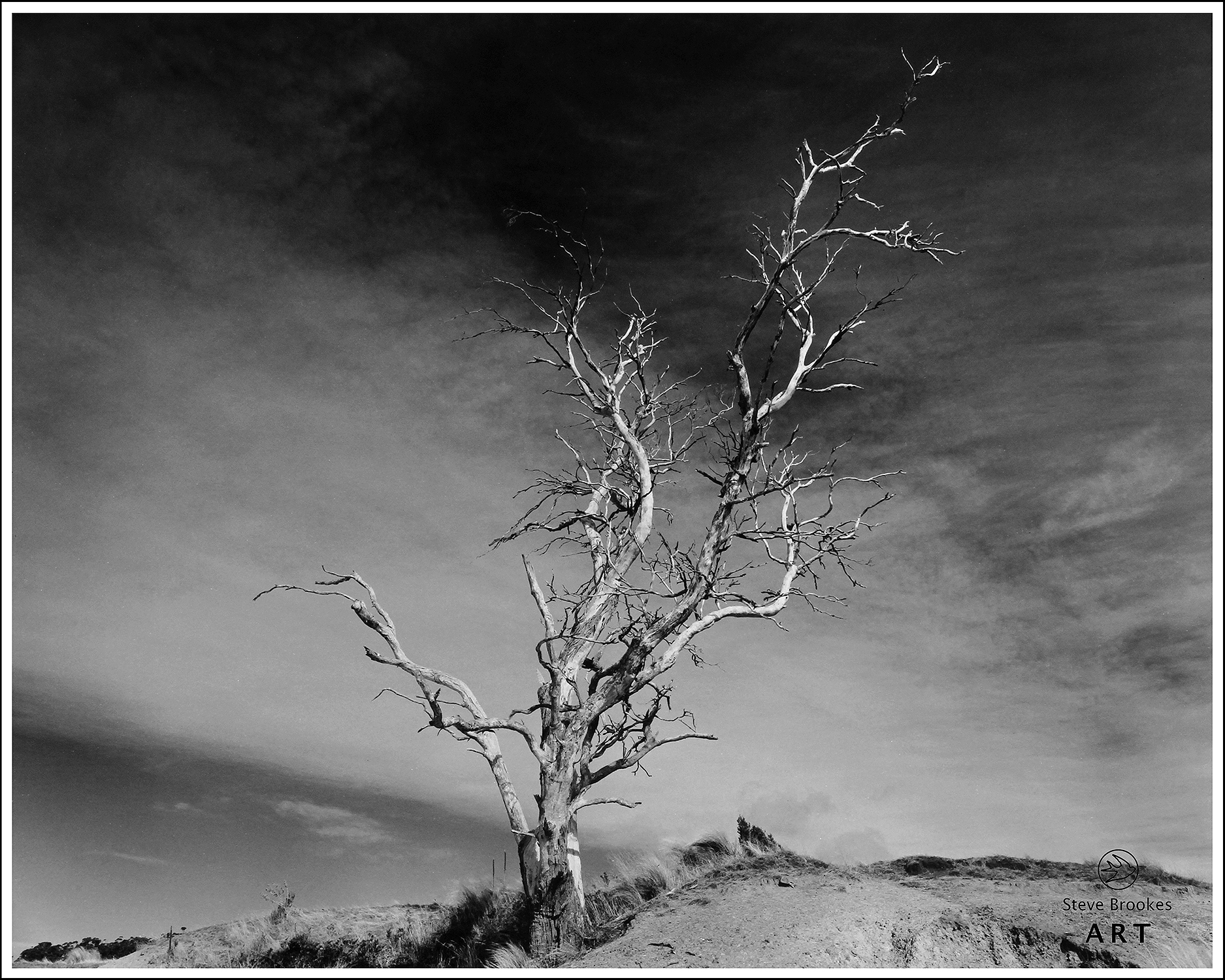 Sandspit Lagoon, Tasmania. (DTT #11)