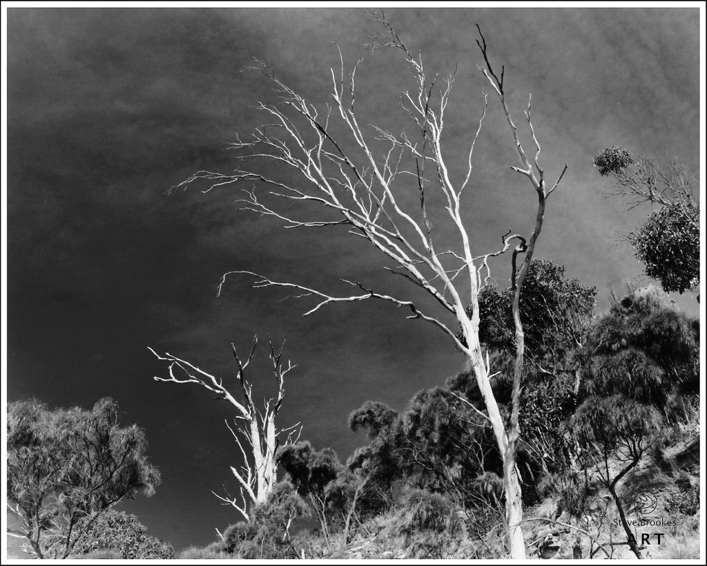 Stapleton Point, Tasmania.