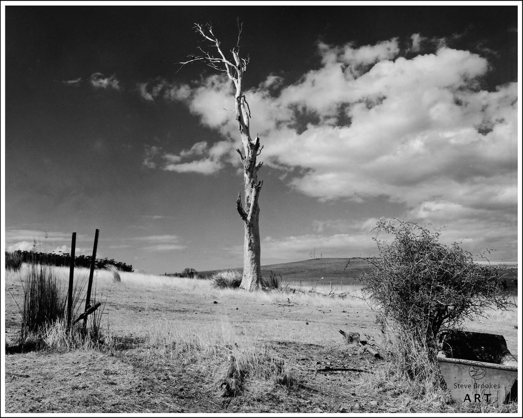Triabunna, Tasmania.