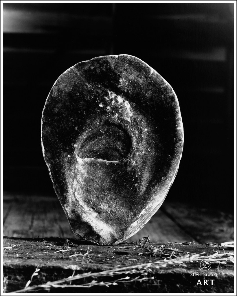 Oyster Shell (SSL #27)