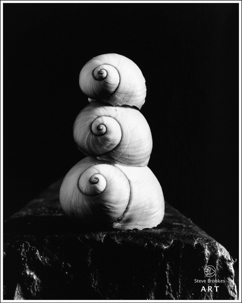 Stack of Shells (SSL #32)
